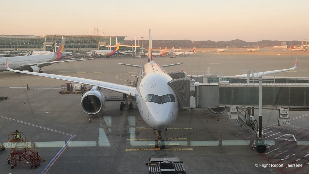 photo 20250218_073651