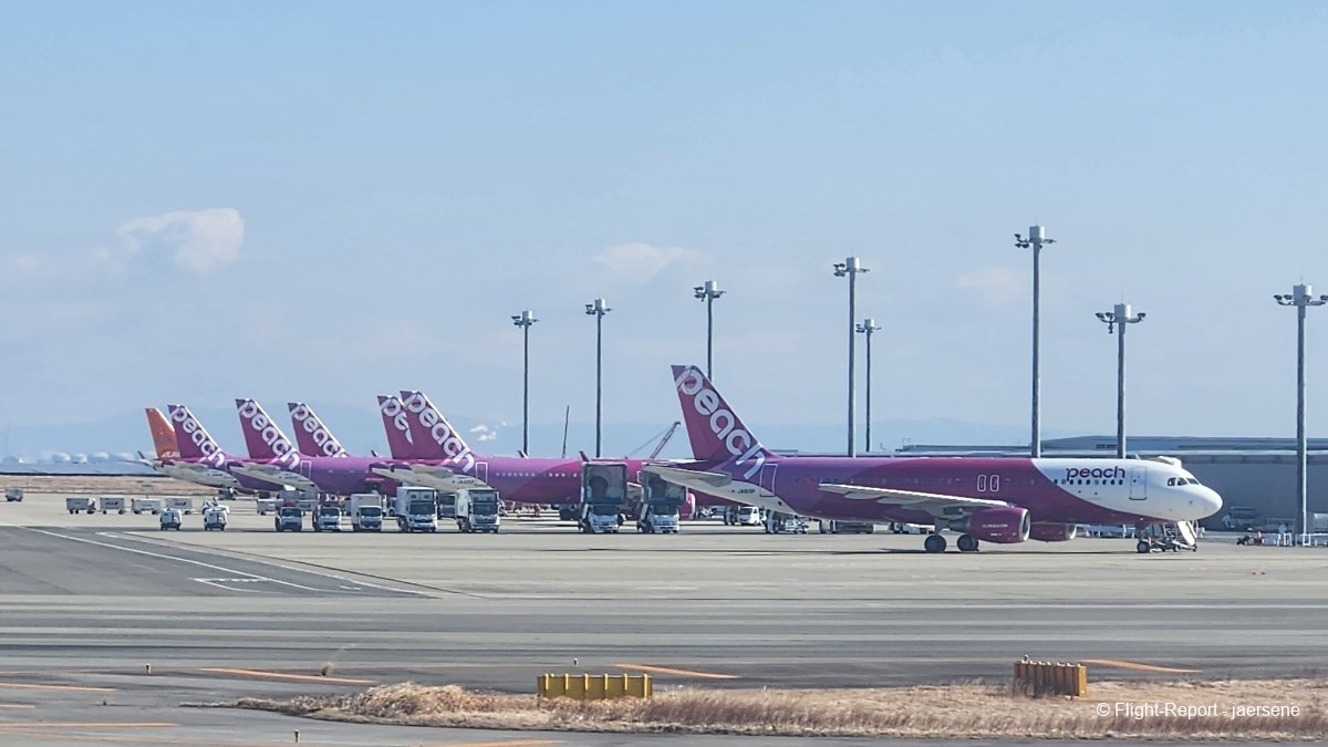 photo 20250218_100518