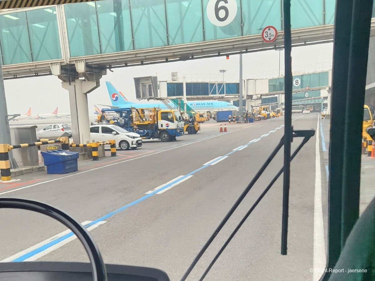 photo 20250325_071529