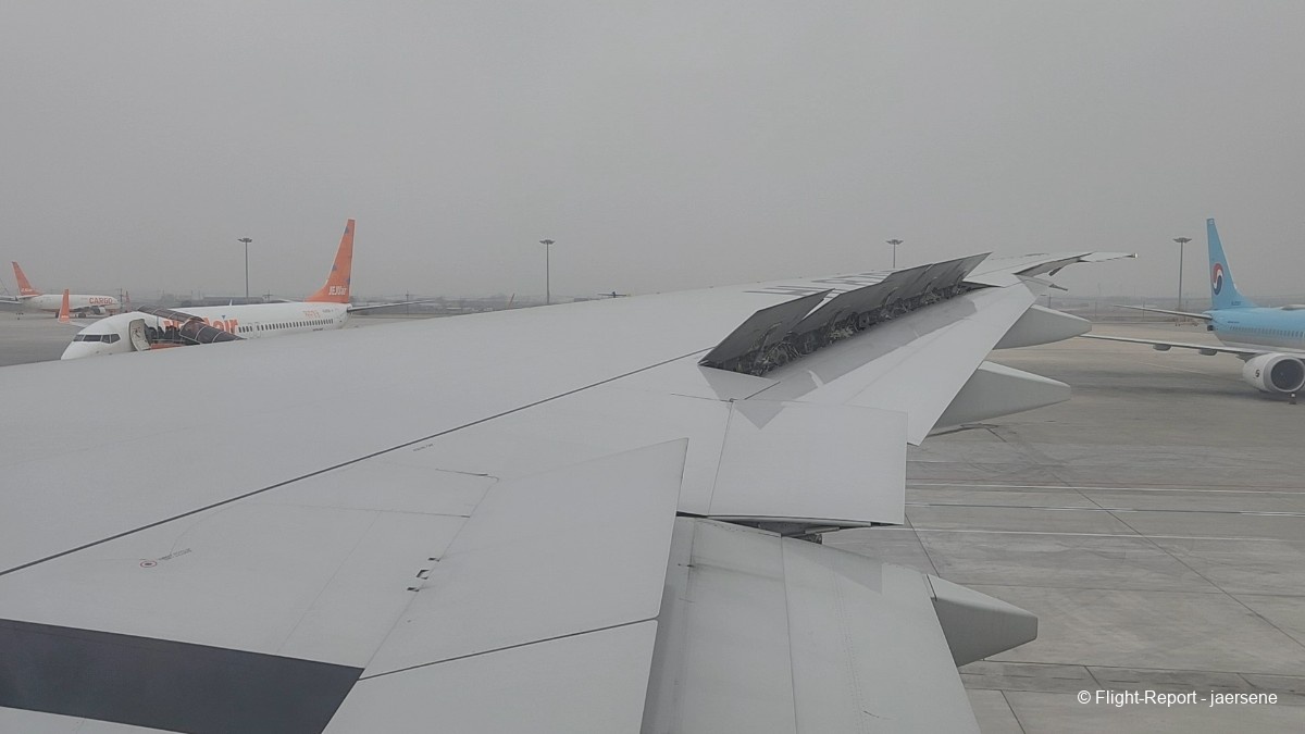 photo 20250325_075246