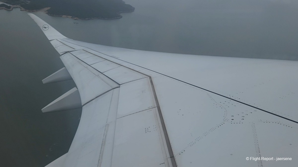 photo 20250715_1143123