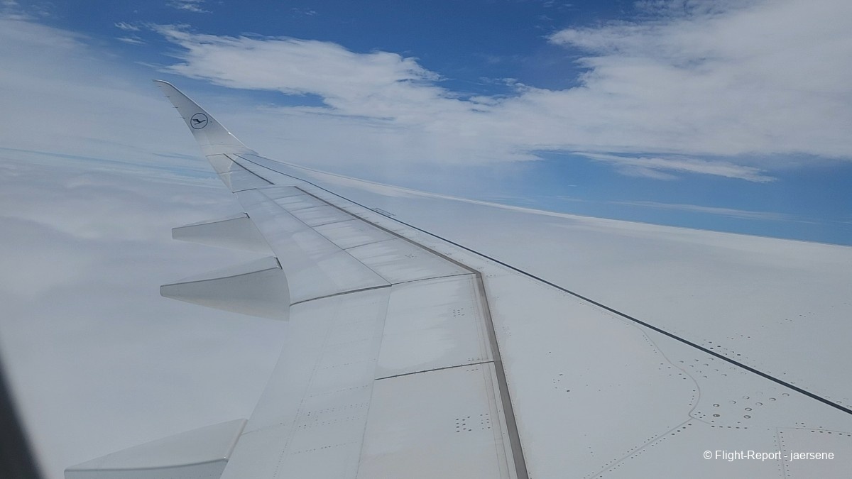 photo 20250715_1143124