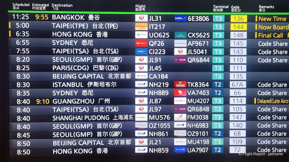 photo 20260209_061234