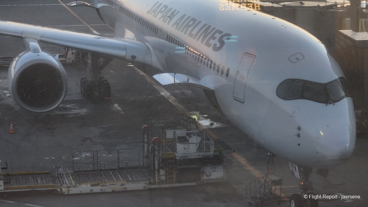 photo 20260209_062919