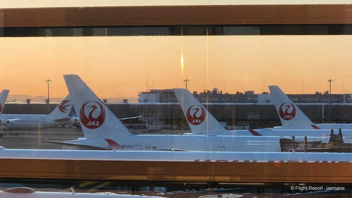 photo 20260209_064150