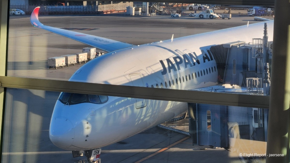 photo 20260209_071904