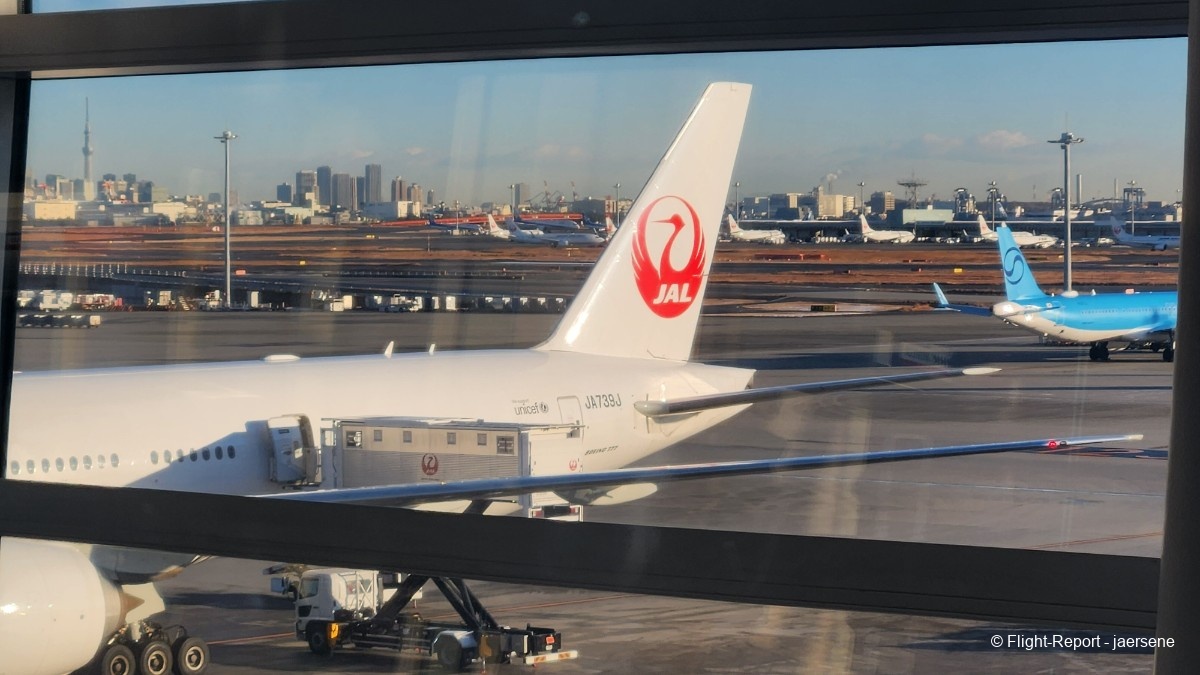 photo 20260209_072548