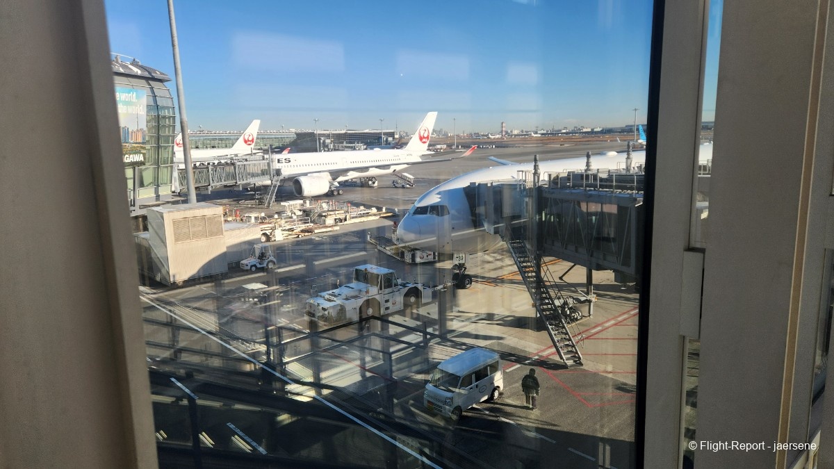 photo 20260209_080452