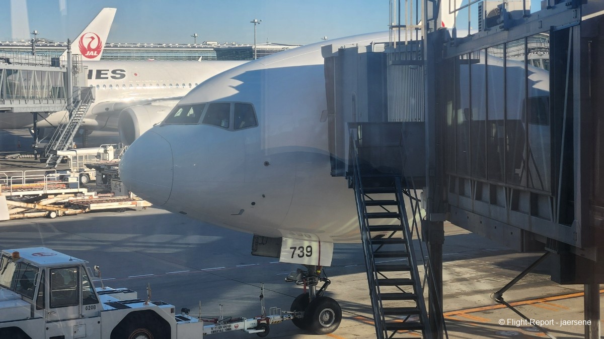 photo 20260209_080510