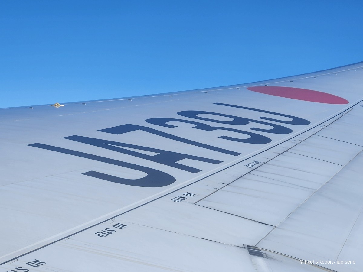 photo 20260209_083654