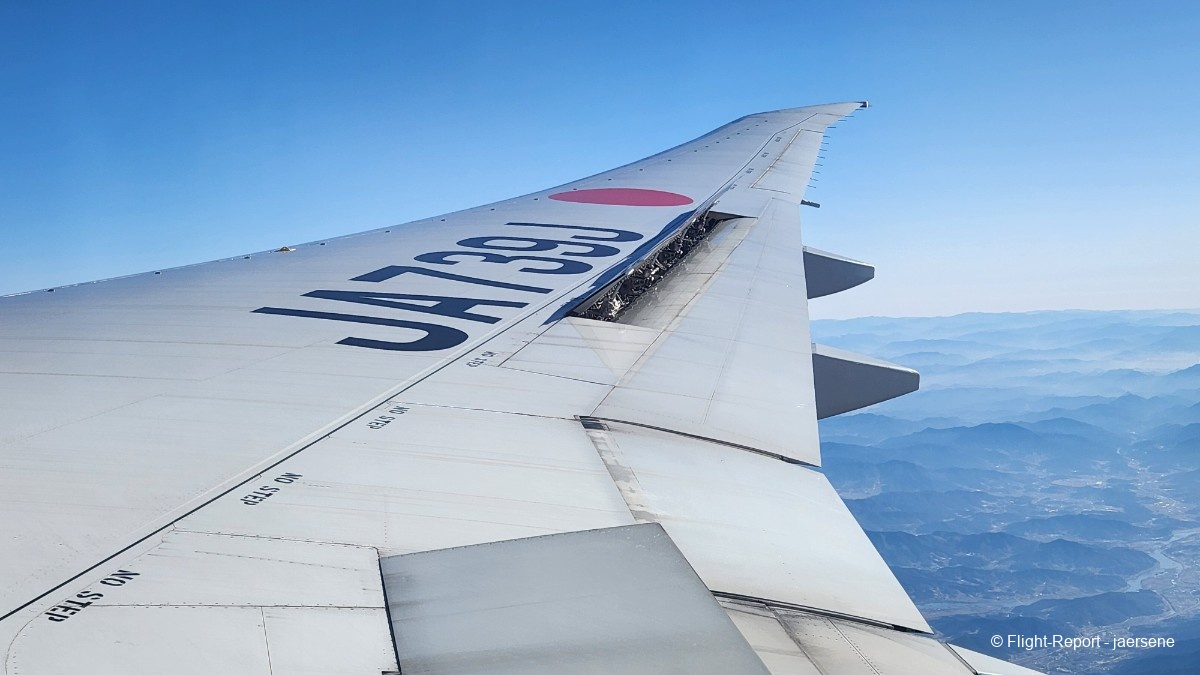 photo 20260209_100753