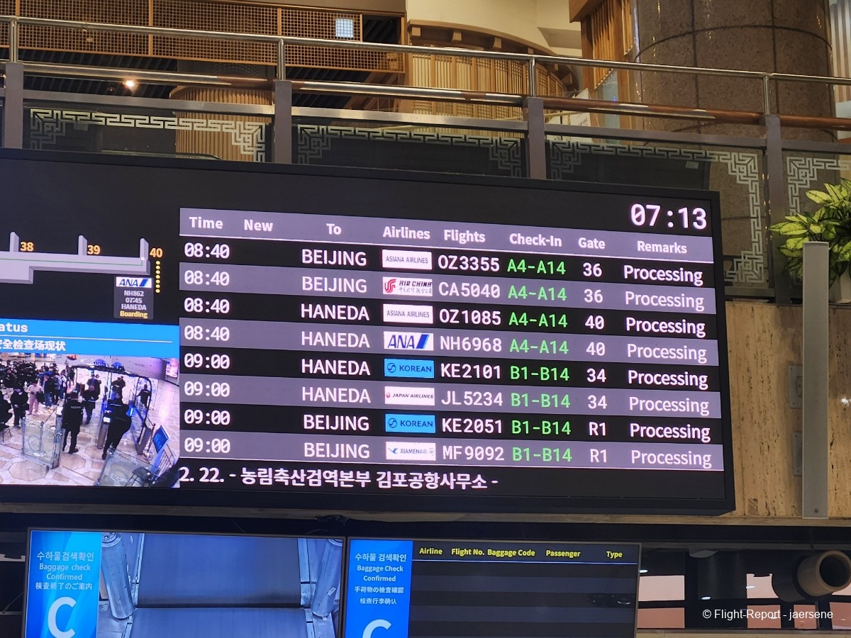 photo 20260219_071311