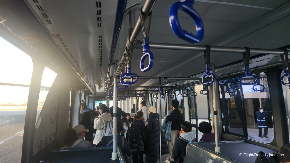 photo 20260219_084119