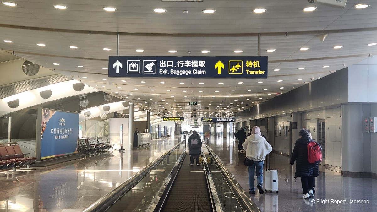 photo 20260219_100947