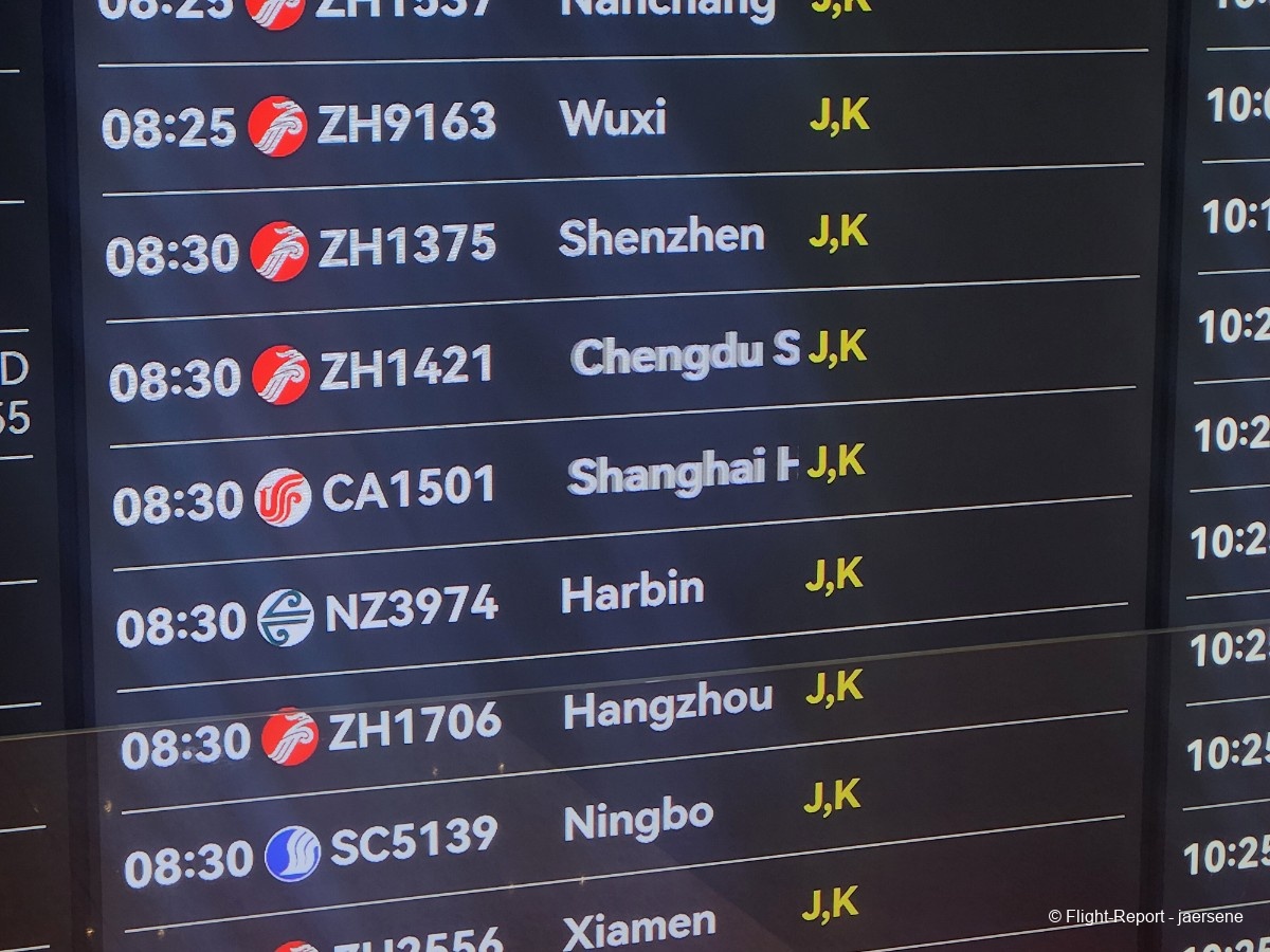 photo 20260220_033320