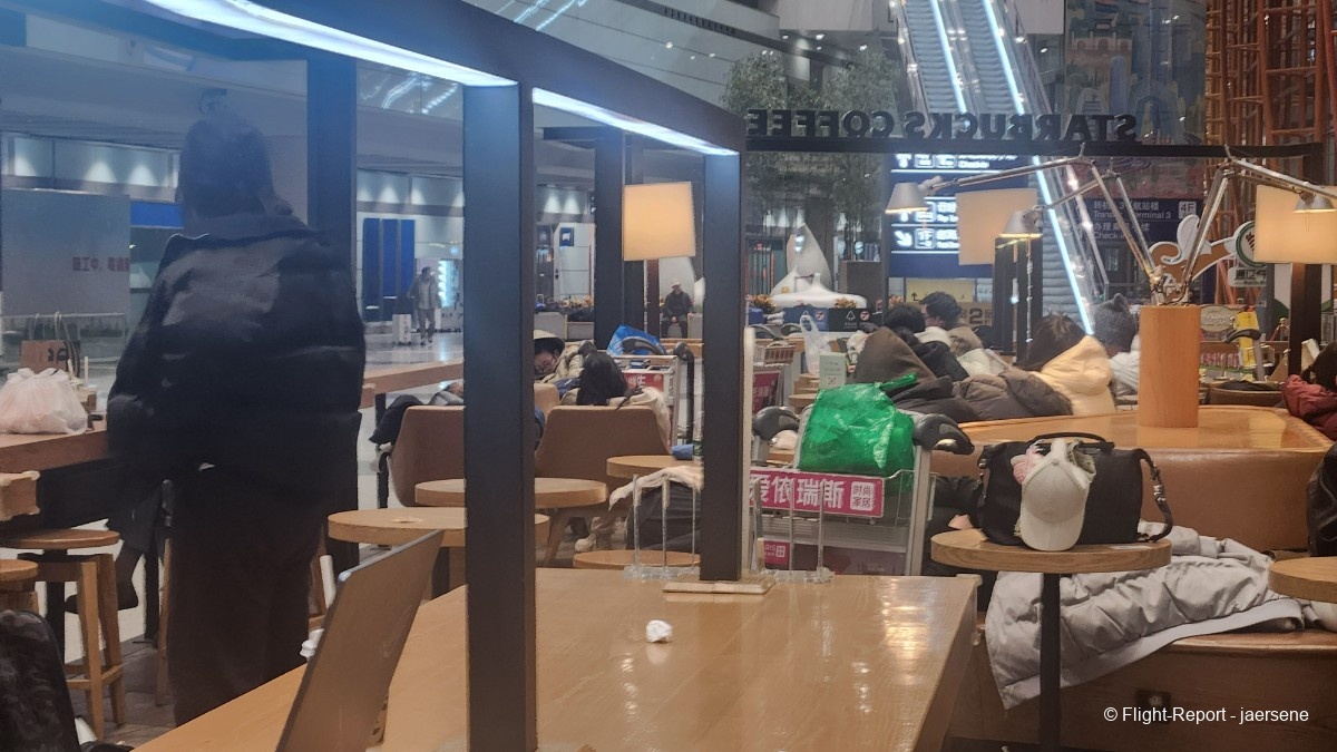 photo 20260220_035753