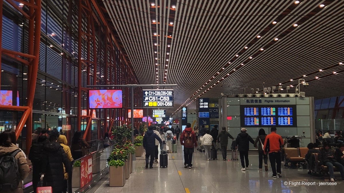 photo 20260220_064716