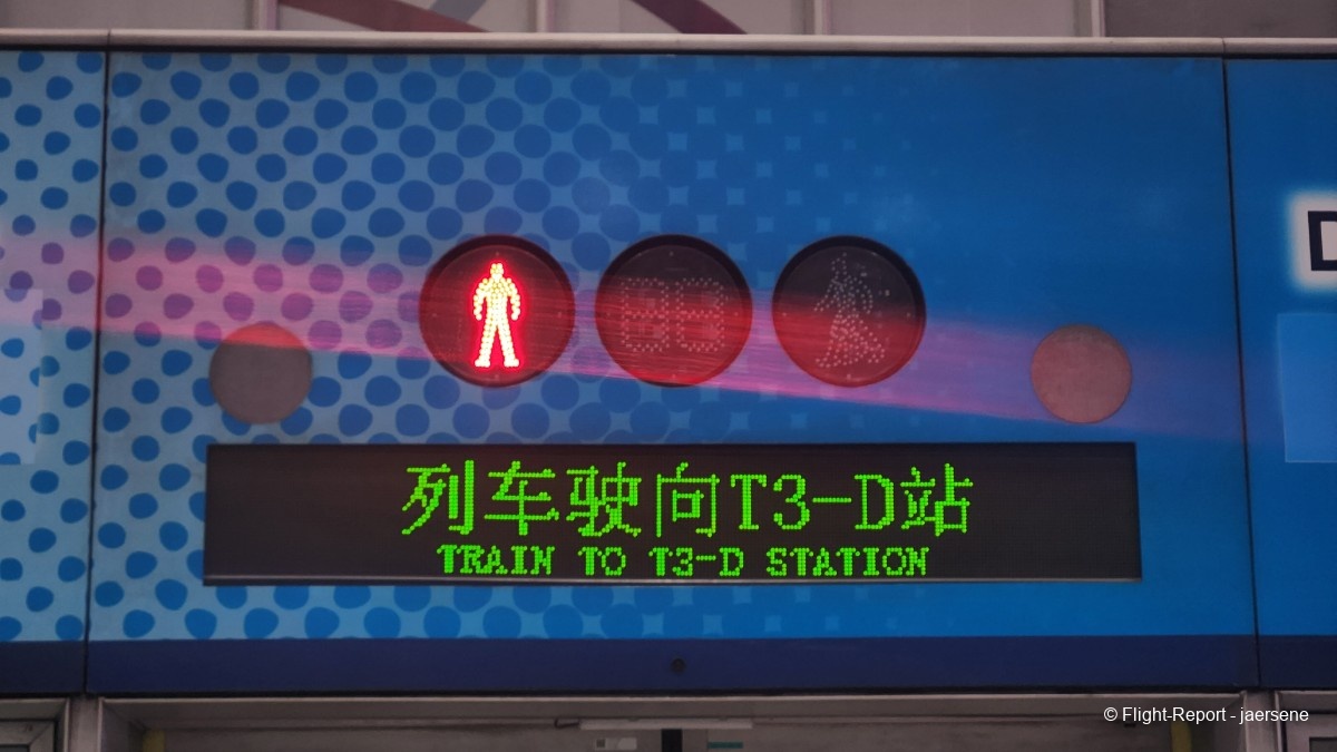 photo 20260220_065322