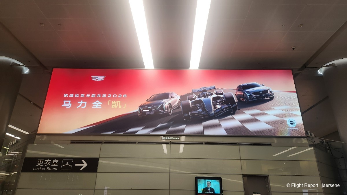 photo 20260220_110646