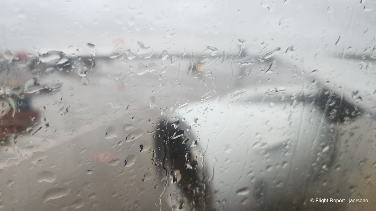 photo 20260224_064815