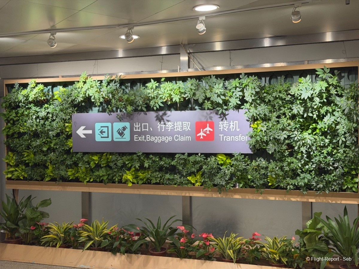 photo 764522f8-2f05-4834-9946-1def459edd03_1_105_c