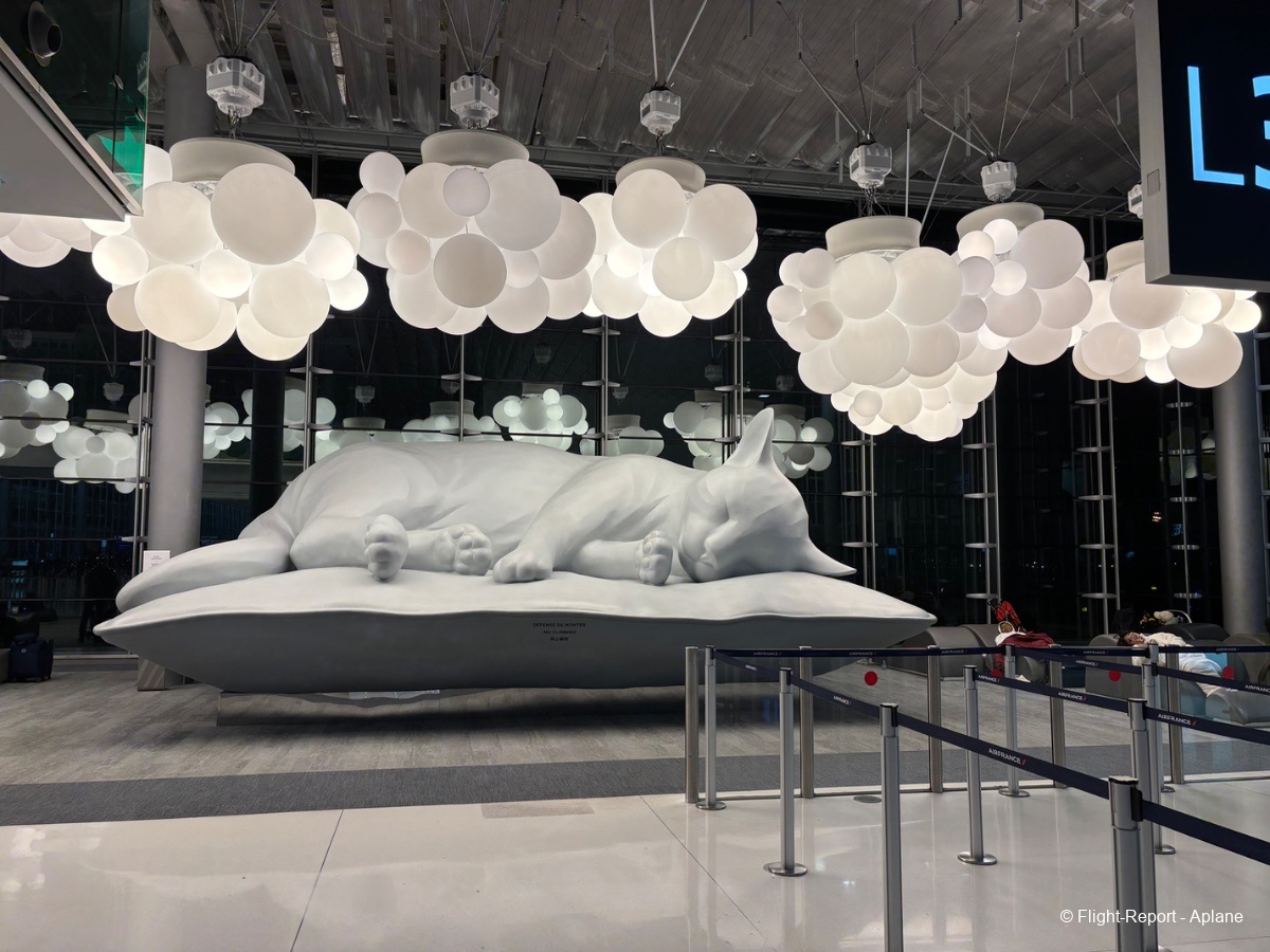 photo tempimageleh118