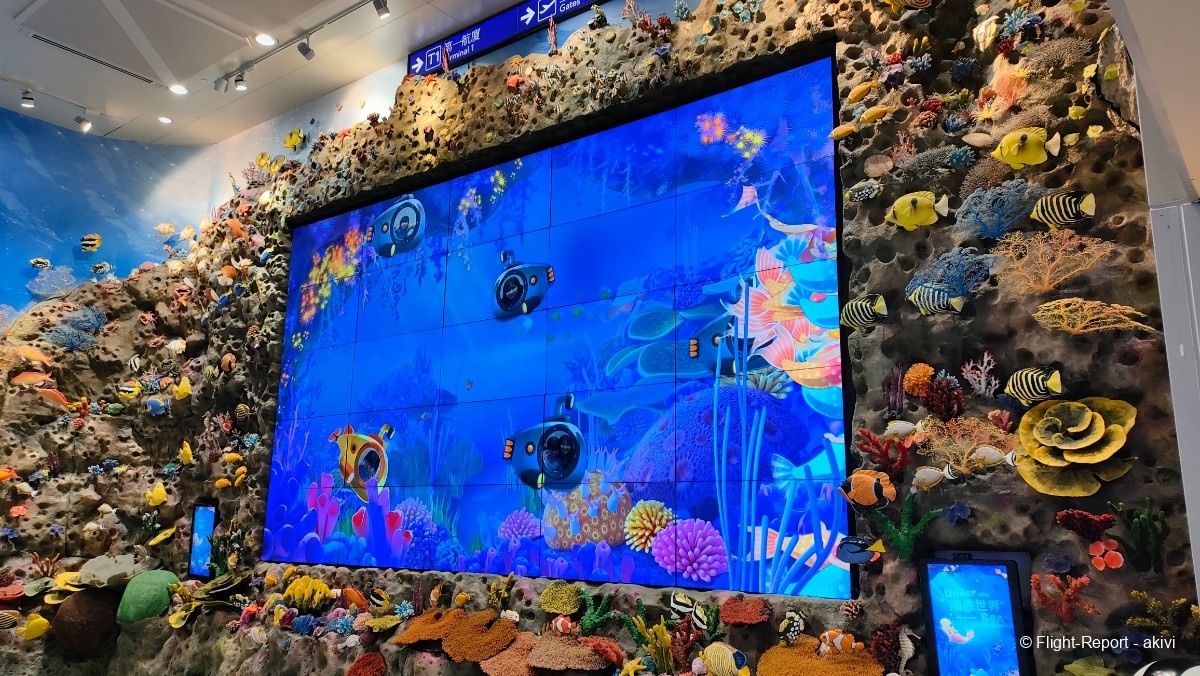 photo img20241129145054