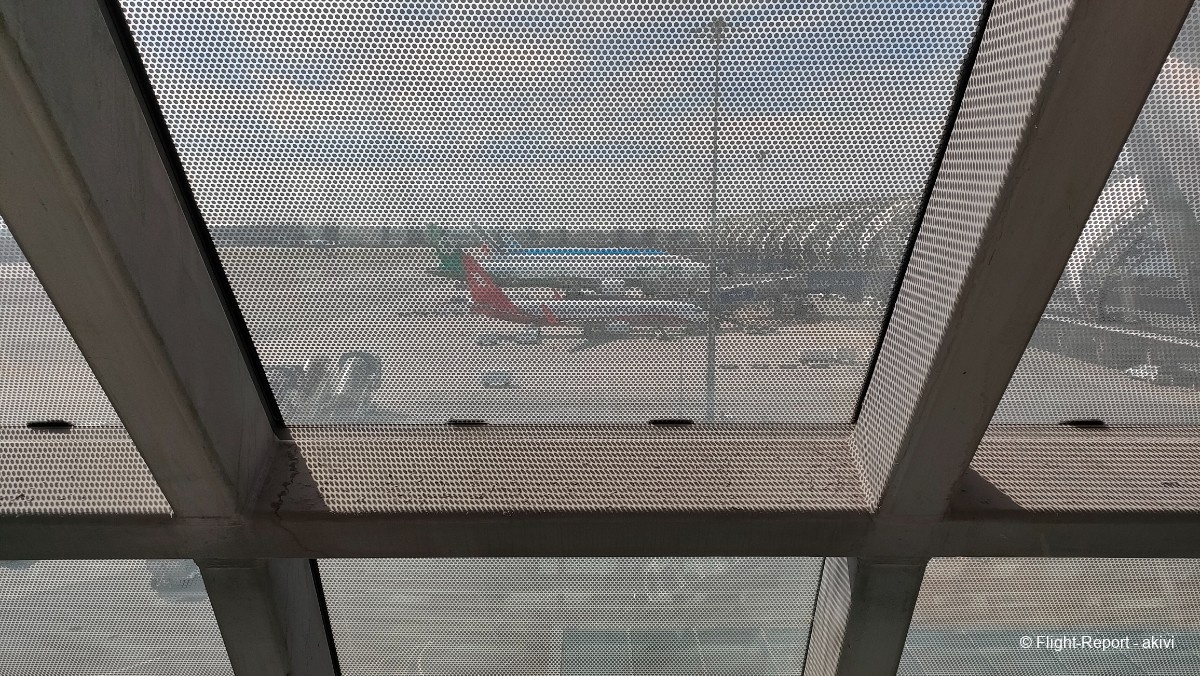 photo img20241121042924