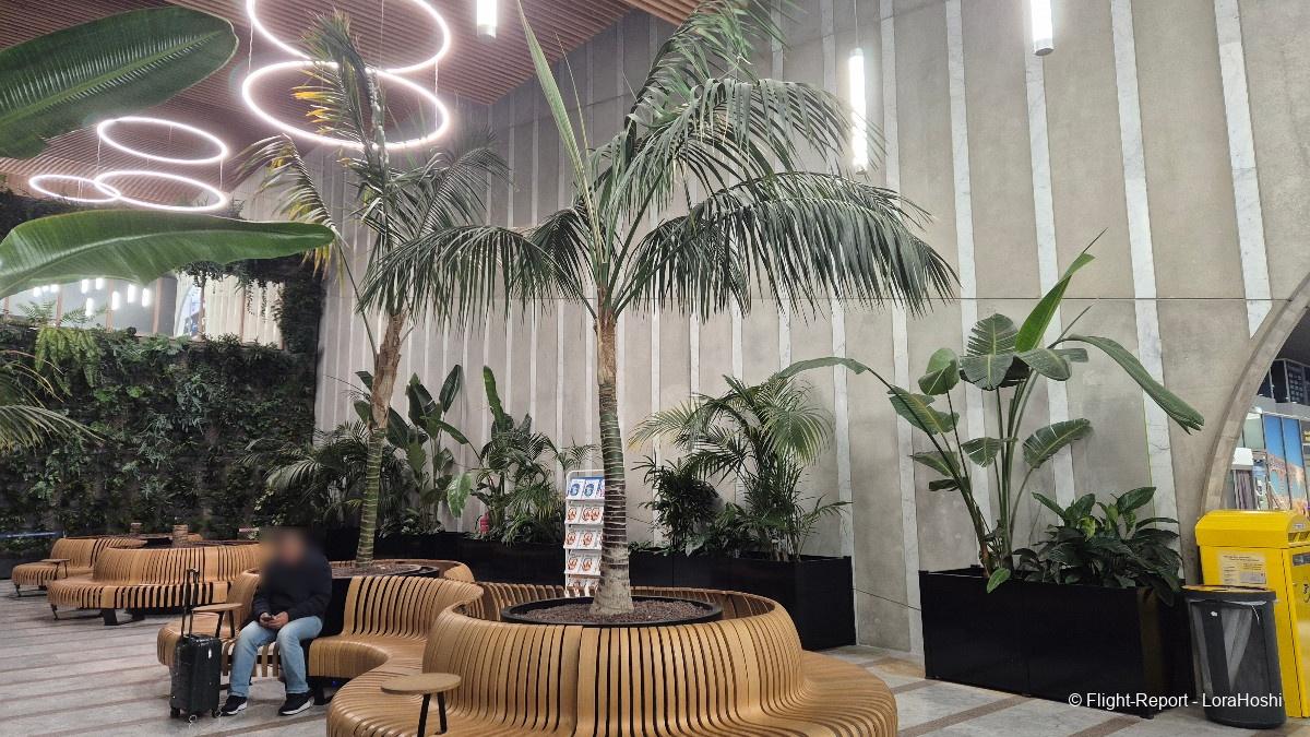 photo 20251128_043623-66293