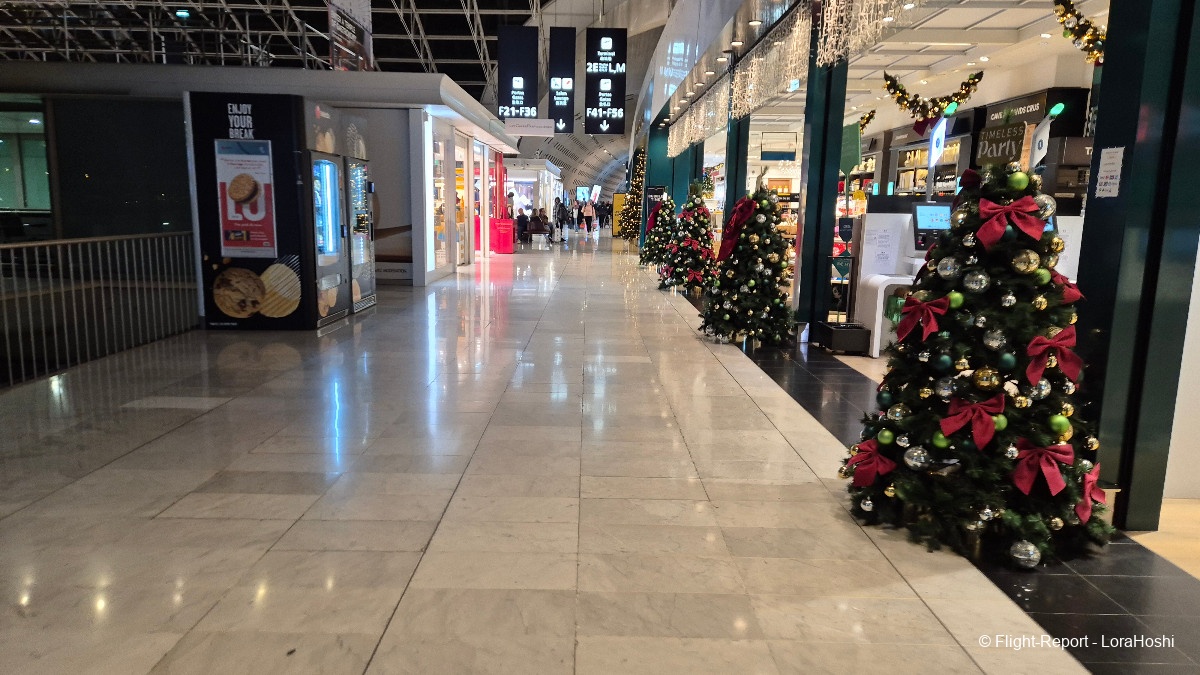 photo 20251130_063832