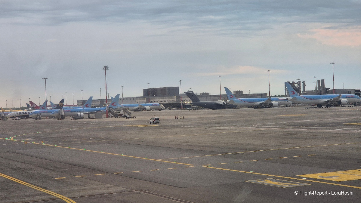 photo l-6