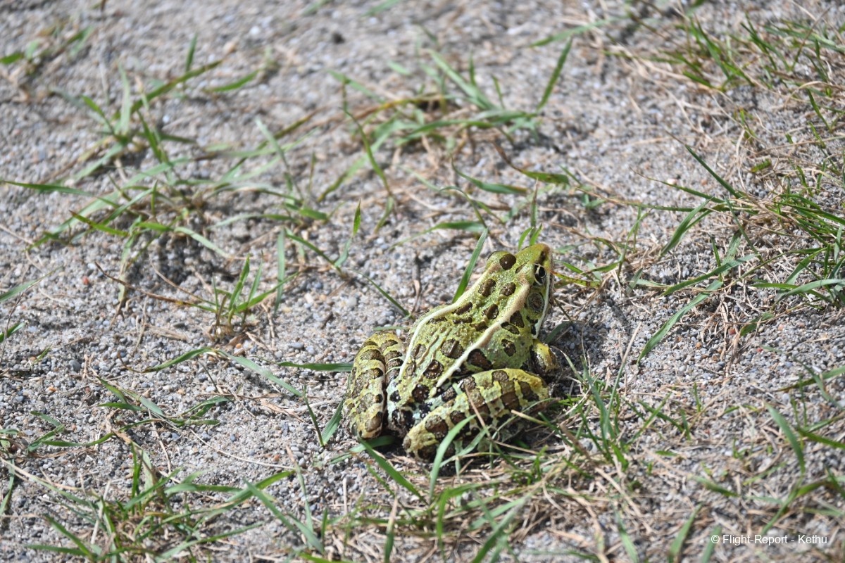photo dsc_1099