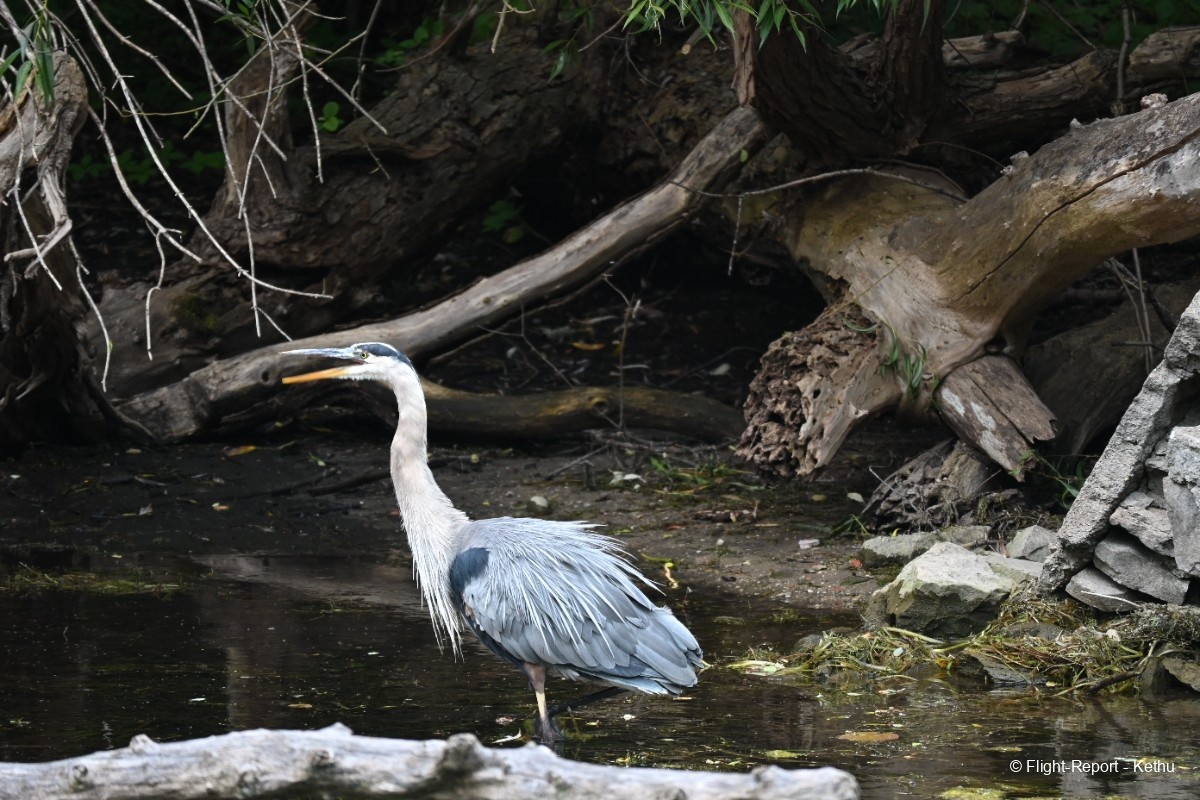 photo dsc_1111