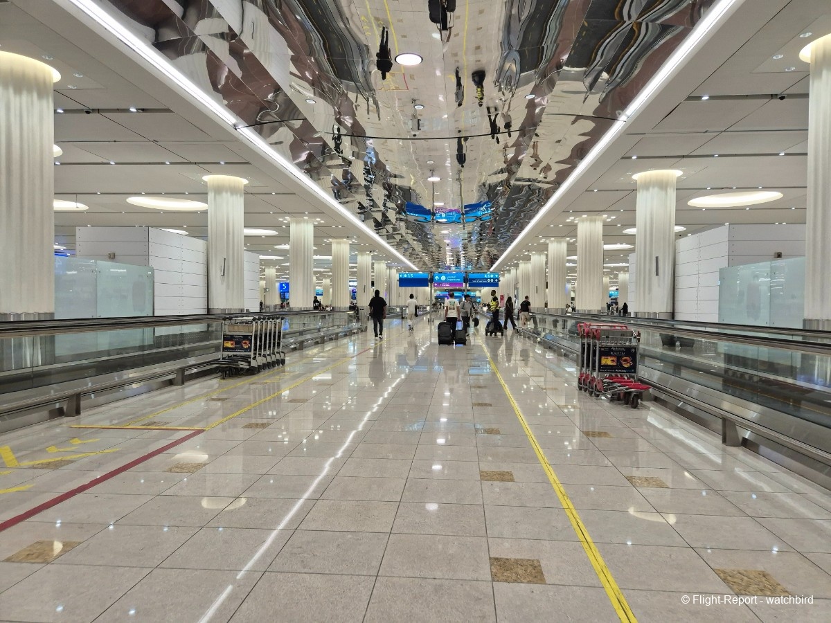 photo 20251212_115533