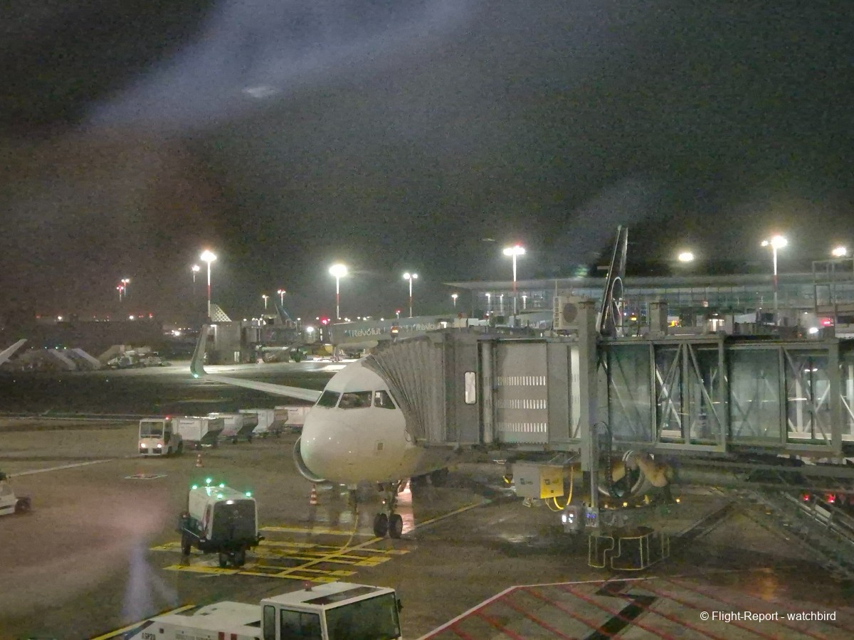 photo 20251217_062308