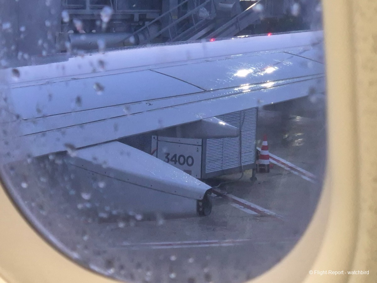 photo 20251217_072217