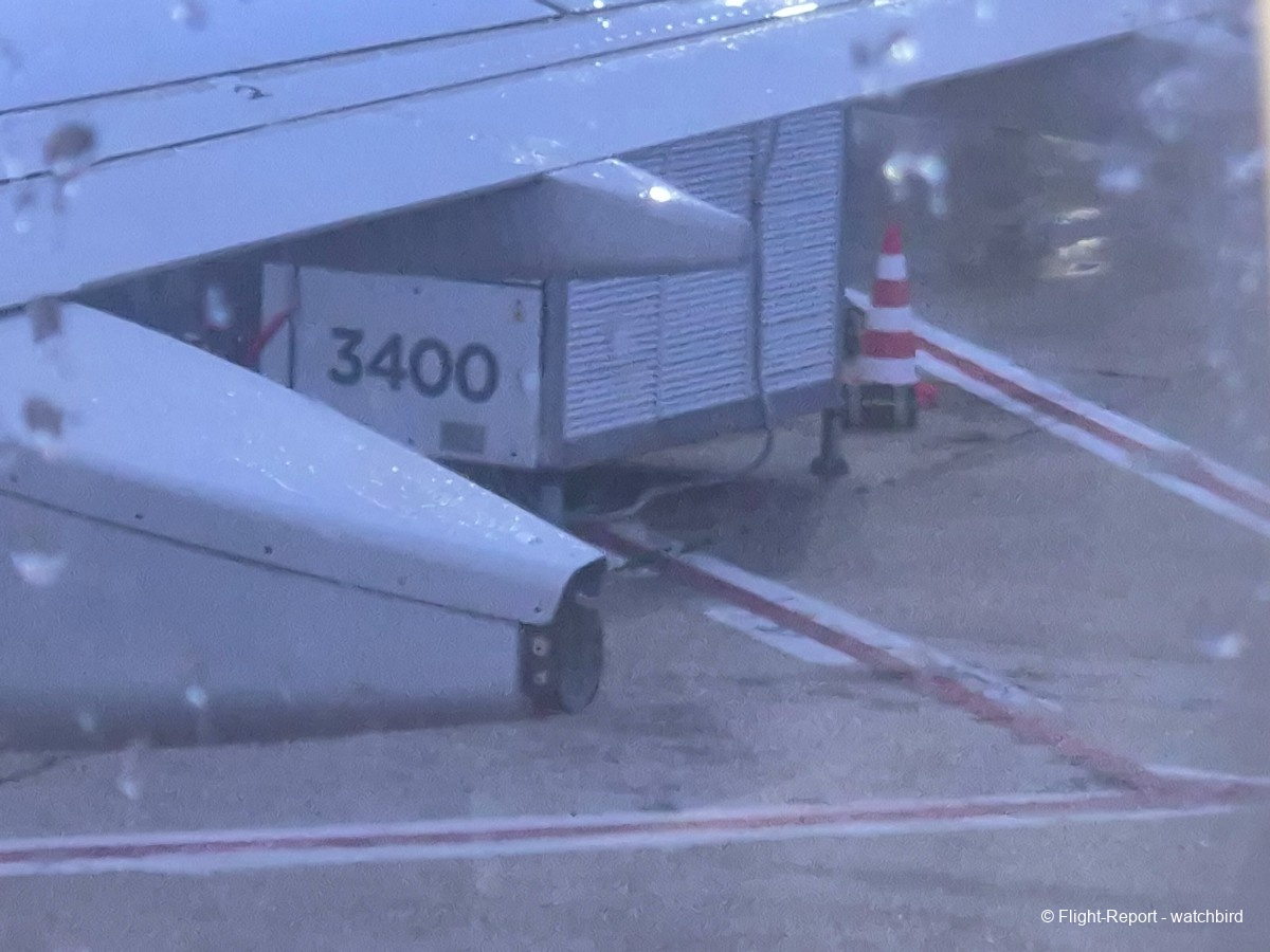 photo 20251217_072221