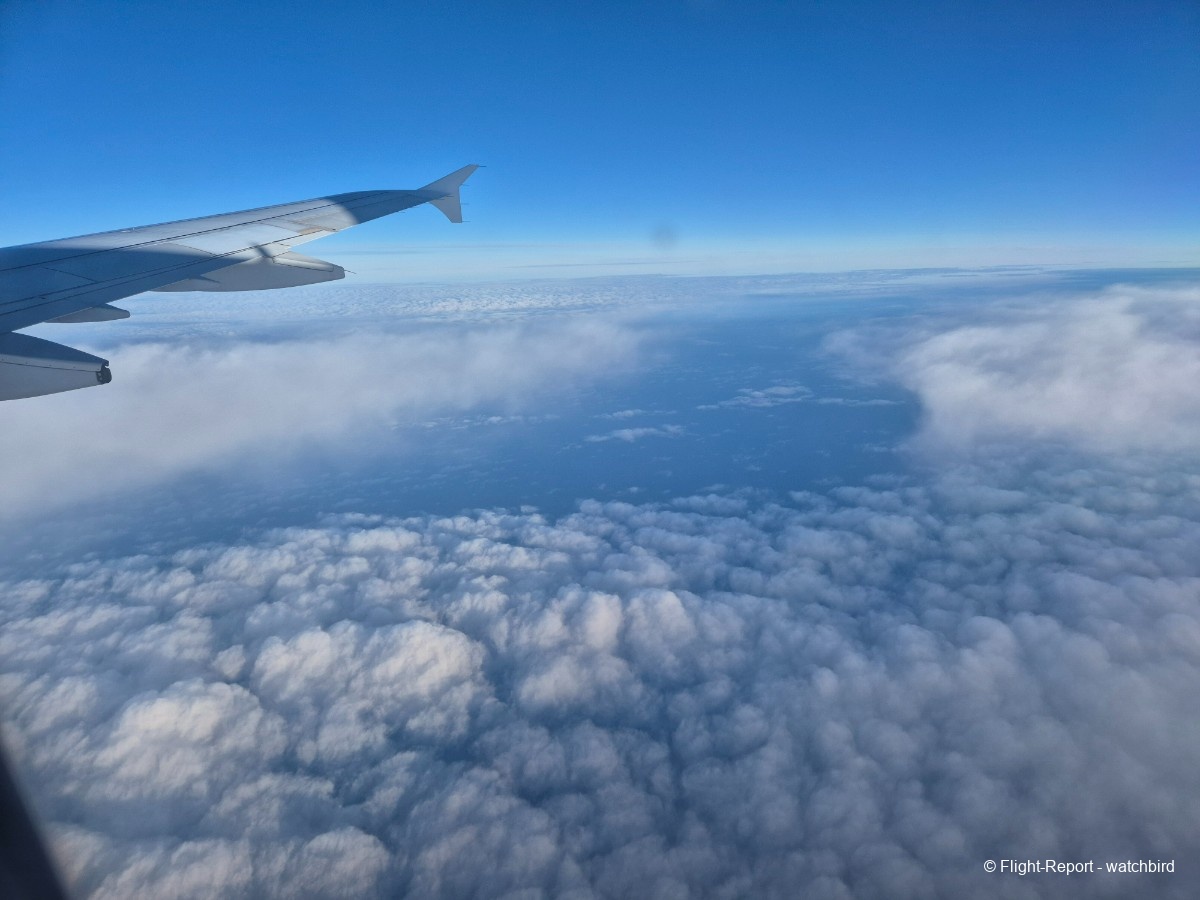 photo 20251217_083045