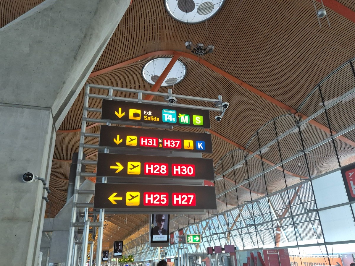 photo 20251217_100819