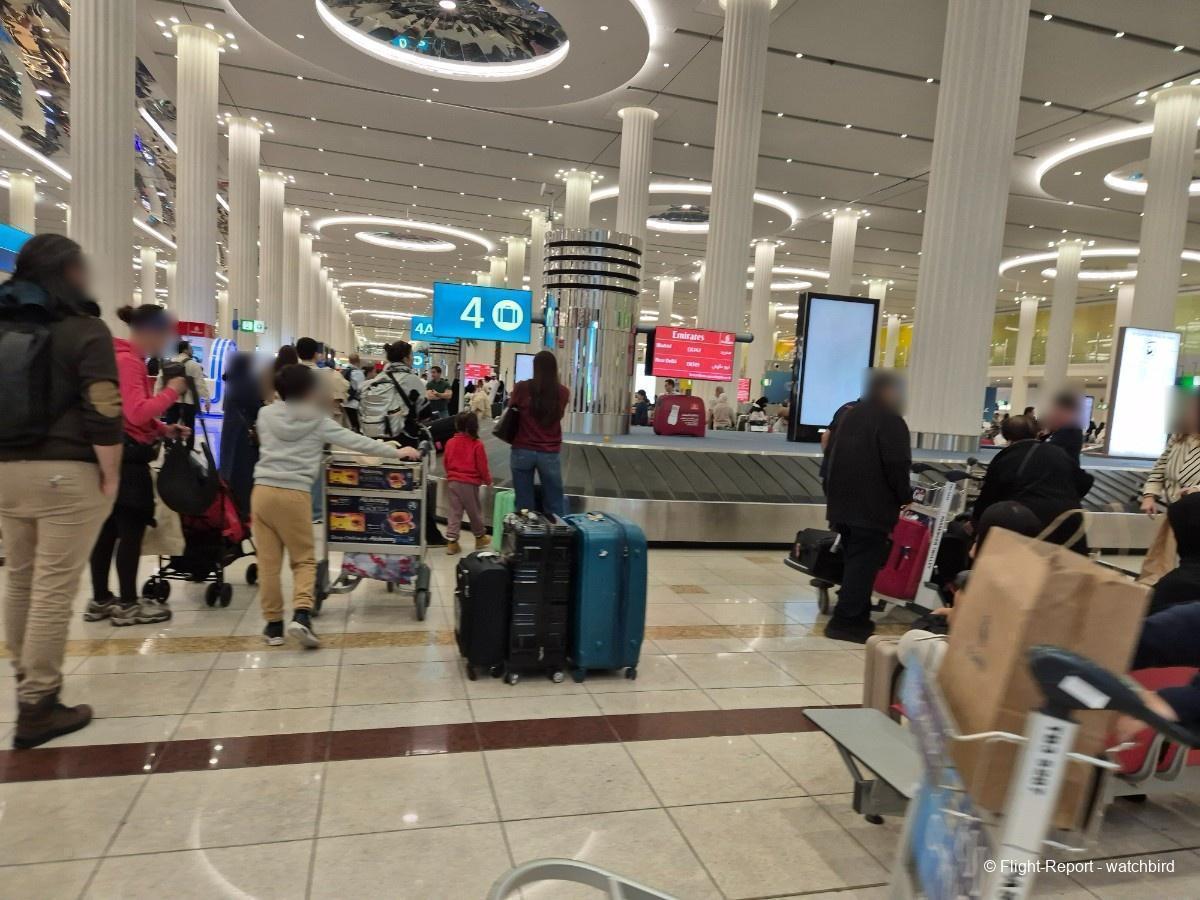 photo 20260103_010704-76283