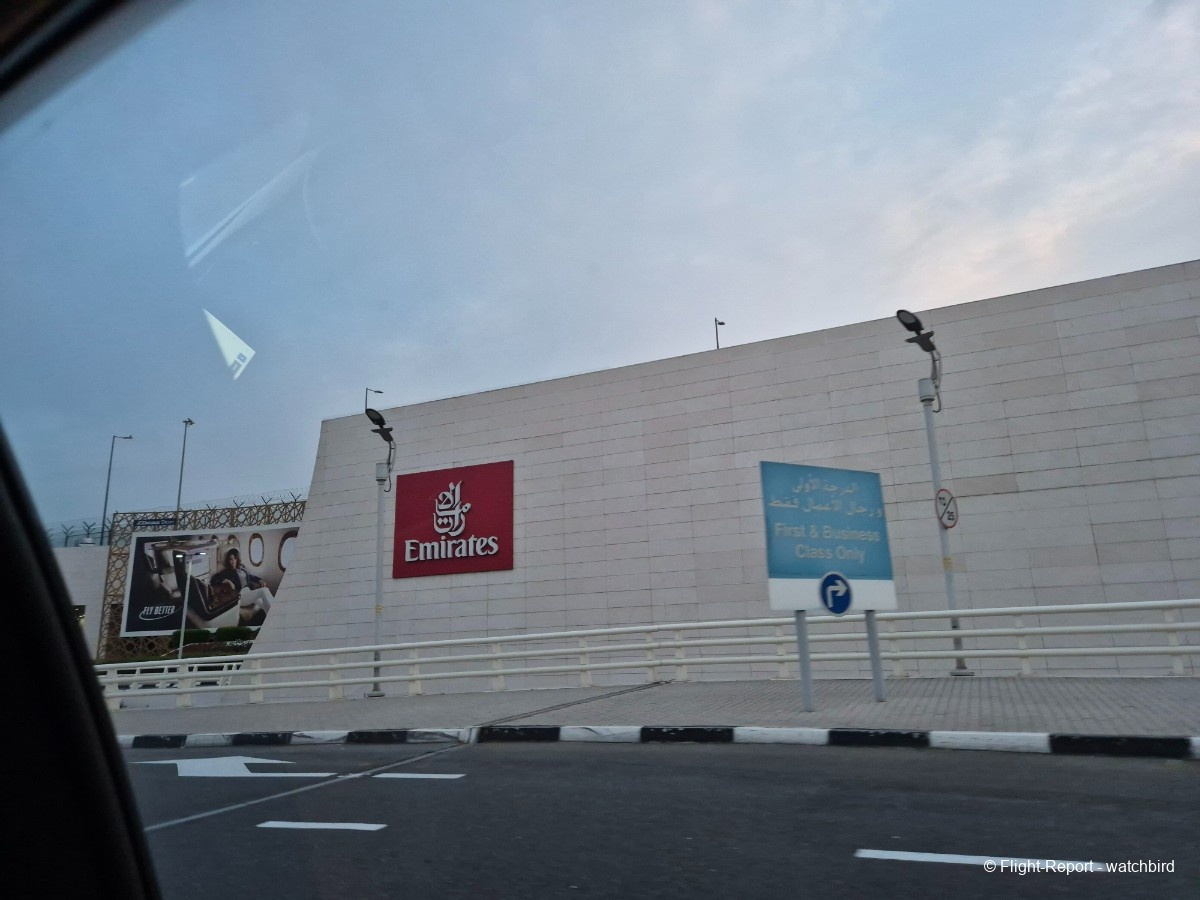 photo 20260313_064308