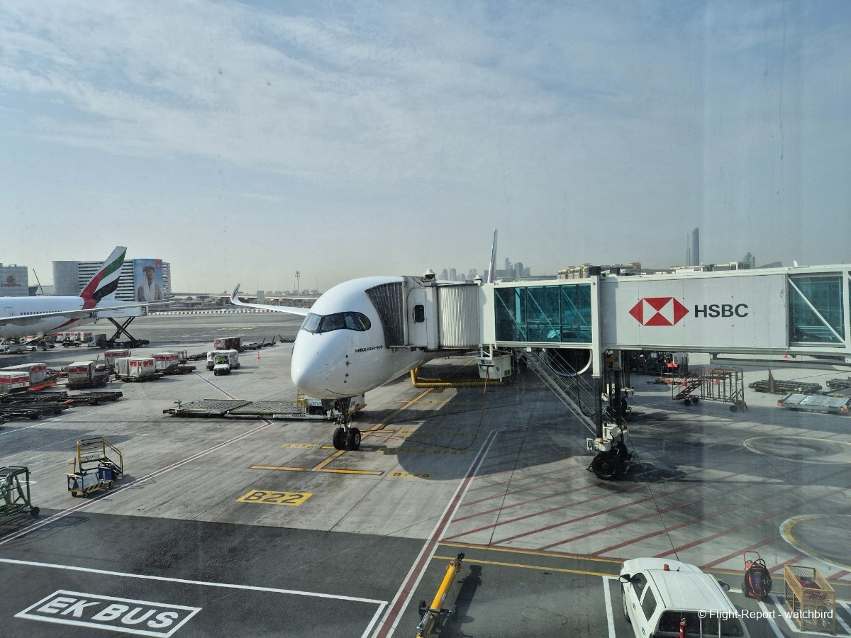 photo 20260313_092029