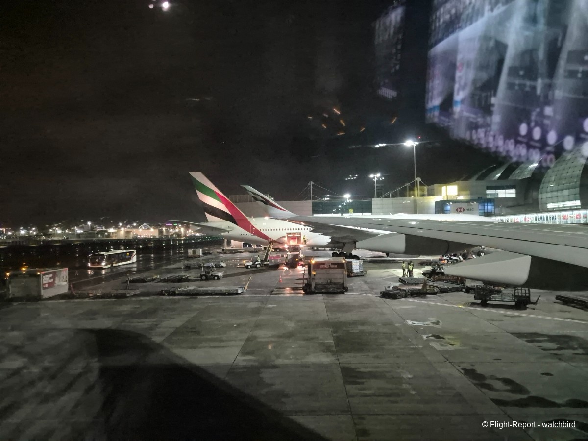 photo 20260328_005018