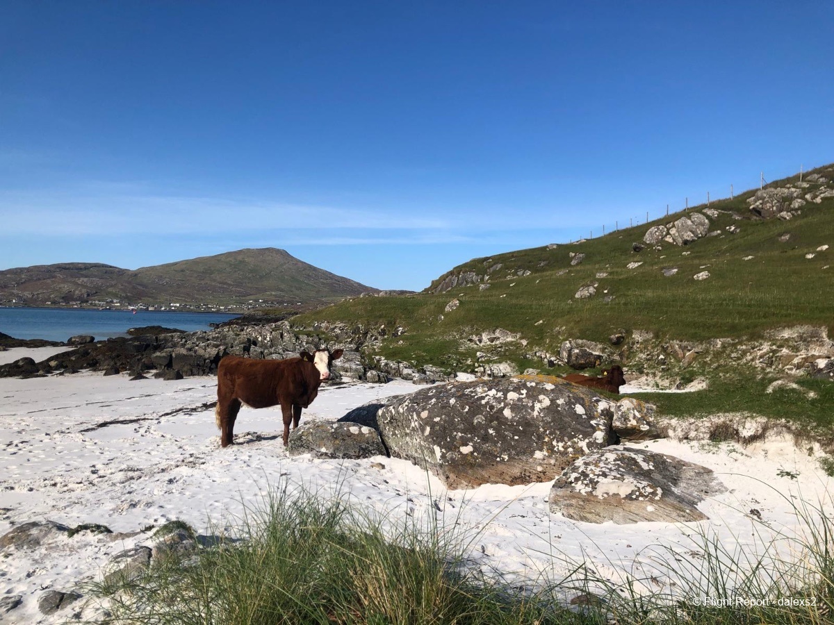 photo d73bed71-34fa-438a-b74c-7a3f9fefc861