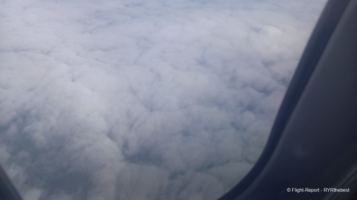 photo 20240730_091903