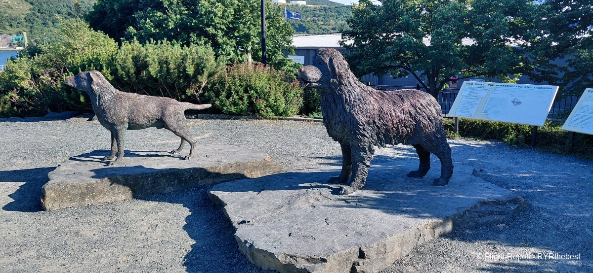 photo 20250710_175640