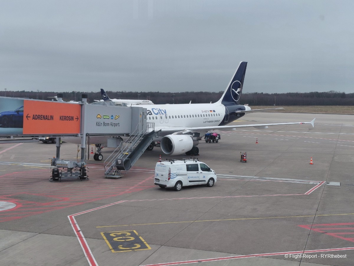 photo 20260317_083748