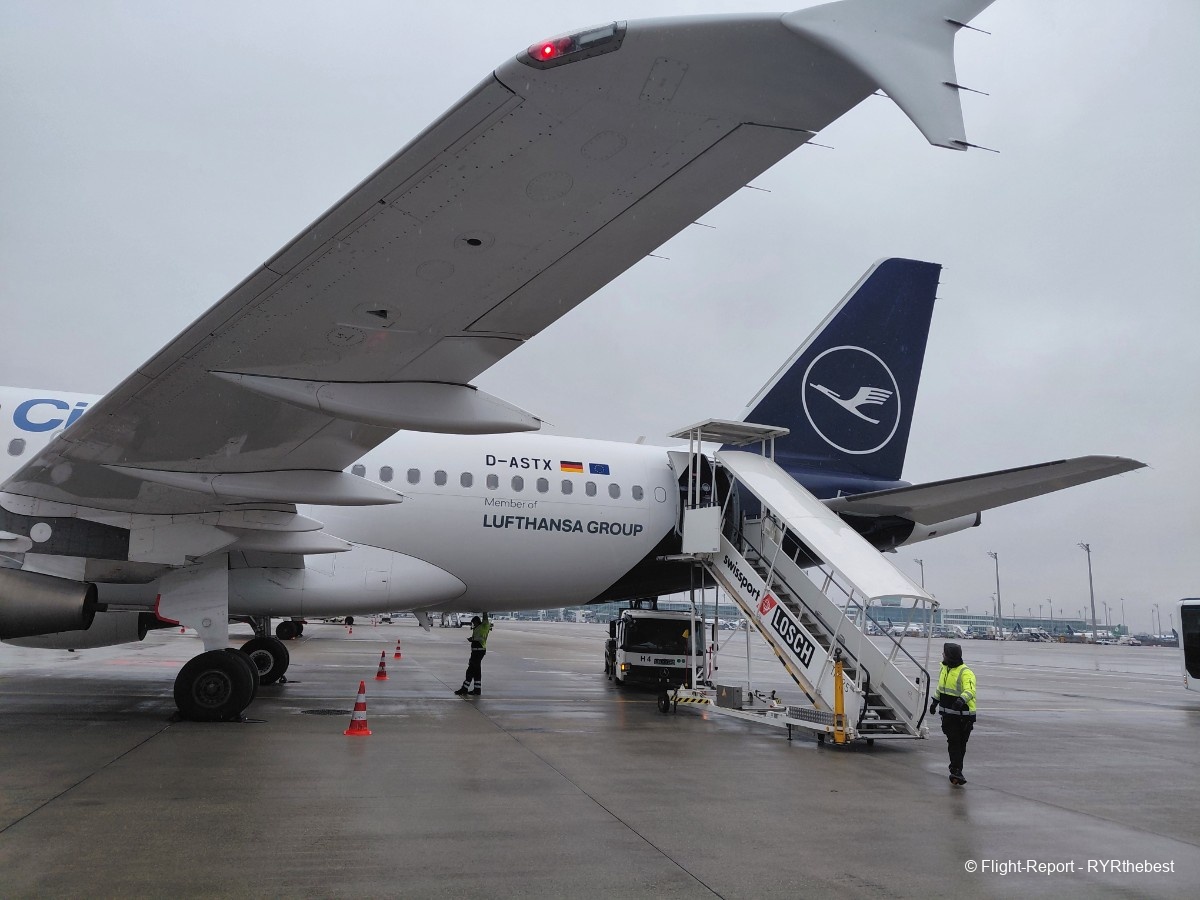 photo 20260317_101648