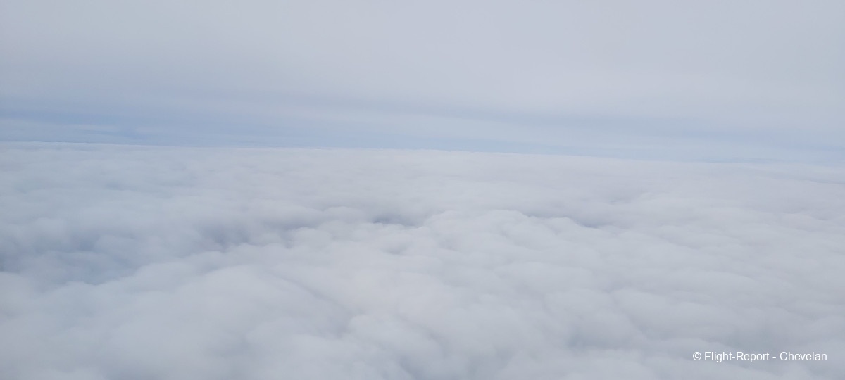 photo 20241205_130831