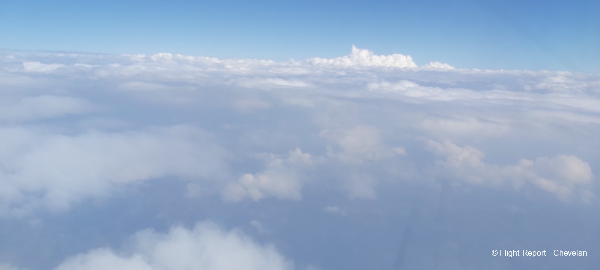 photo 20250309_145818